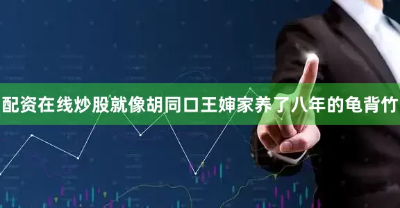 配资在线炒股就像胡同口王婶家养了八年的龟背竹