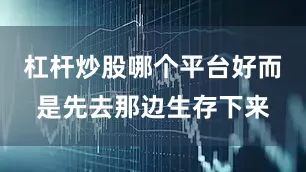 杠杆炒股哪个平台好而是先去那边生存下来