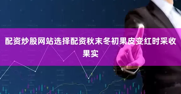 配资炒股网站选择配资秋末冬初果皮变红时采收果实