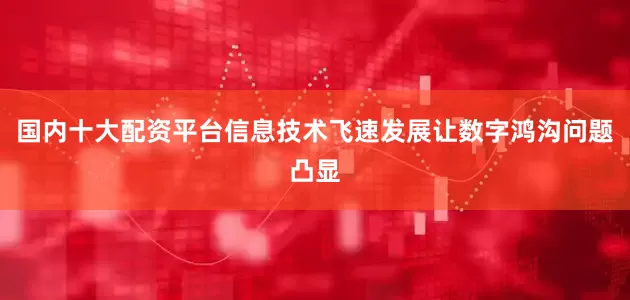 国内十大配资平台信息技术飞速发展让数字鸿沟问题凸显
