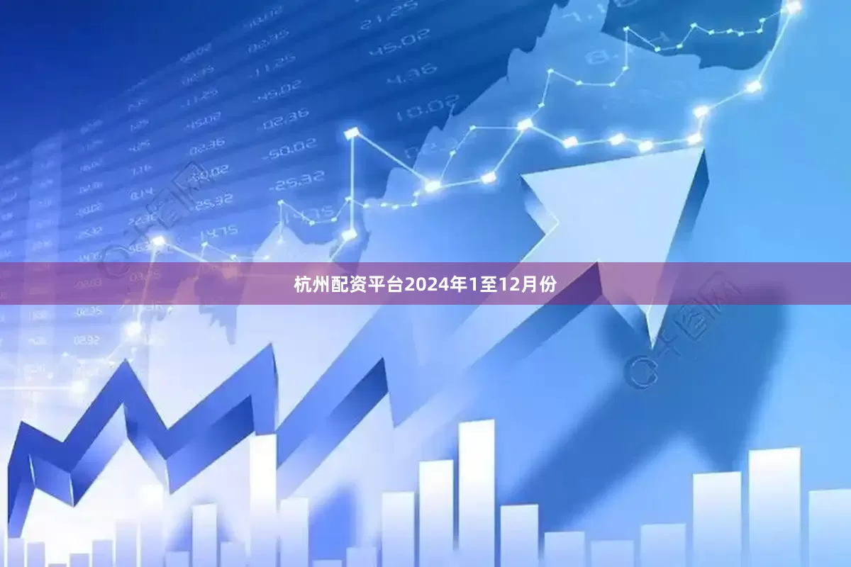 杭州配资平台　　2024年1至12月份