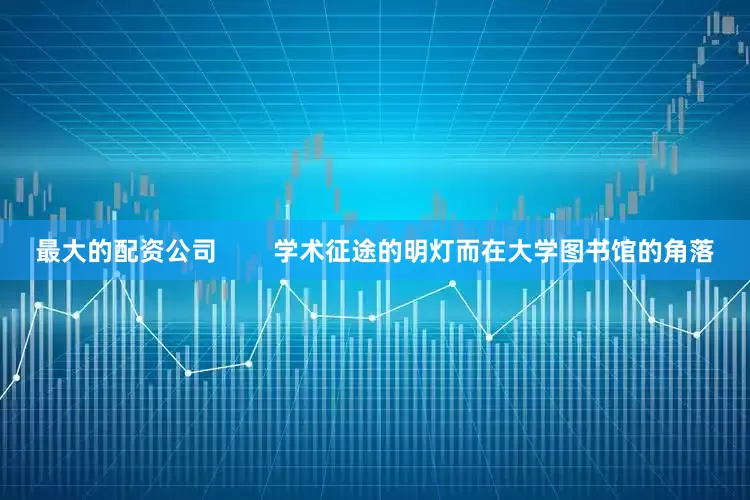 最大的配资公司        学术征途的明灯而在大学图书馆的角落