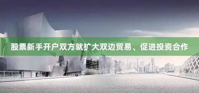 股票新手开户双方就扩大双边贸易、促进投资合作