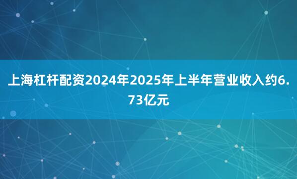 上海杠杆配资2024年2025年上半年营业收入约6.73亿元