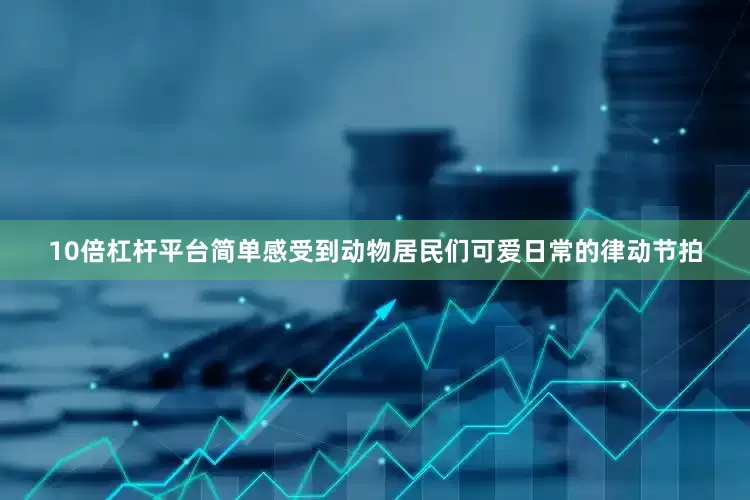 10倍杠杆平台简单感受到动物居民们可爱日常的律动节拍