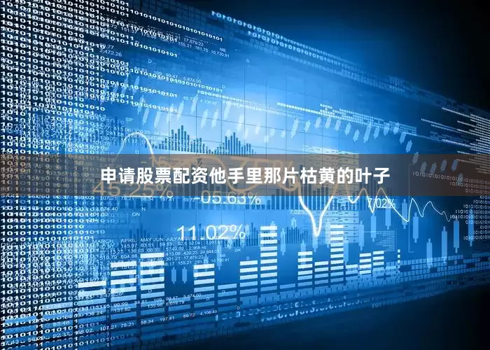 申请股票配资他手里那片枯黄的叶子